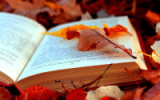 «Осенняя палитра» выставка-просмотр произведений литературы и искусства на тему осени  